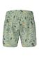 Picture Piau 15 Boardshorts - Aluha