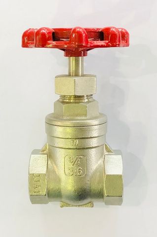 *1/2" (13MM) S/S 316 GATE VALVE