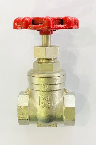 *1" (25MM) S/S 316 GATE VALVE