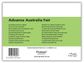 Protext Lime Green 32pg 8mm Double Ruled/Guide Student Notebook