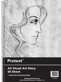 Visual Art Diaries