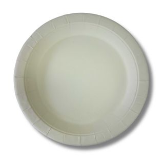Eco Economy Paper Plate 230mm ctn1000