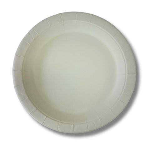 Eco Economy Paper Plate 230mm ctn1000