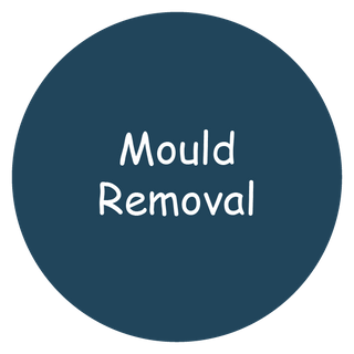 Mould Removal