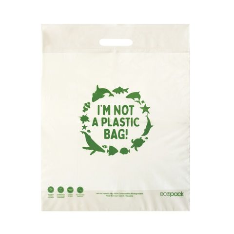 Compostable Punched Handle Retail Bags Medium Pkt 50