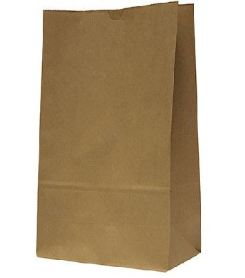 Brown Paper Bags #15 258 x 330 x 120 CTN