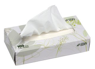 Care Soft Facial Tissues 2ply 100's Ctn/24