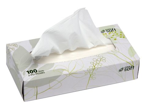 Care Soft Facial Tissues 2ply 100's Ctn/24