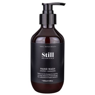 Healthpak Still Botanic Hand Wash 300ml Ctn/16