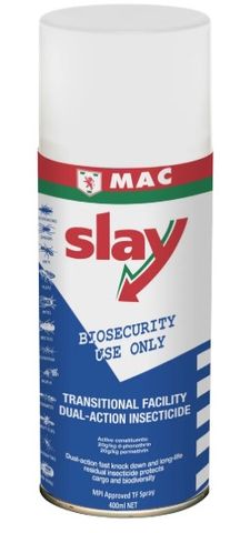 Slay Transitional Facility Dual Action Insecticide 400ml Can