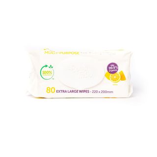 Spring Fresh Wipes Mulitpurpose Pk/80