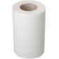 Coastal 2ply Mini Centrefeed Paper Towels Ctn/12
