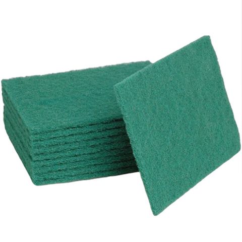 Scouring Pads Thick Green Pk/10