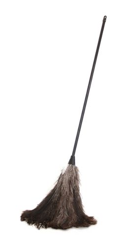 Browns Ostrich Feather Duster Long Handle