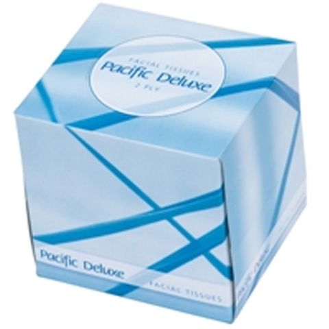 PH Facial Tissue Deluxe 2ply 90sheets Ctn/48