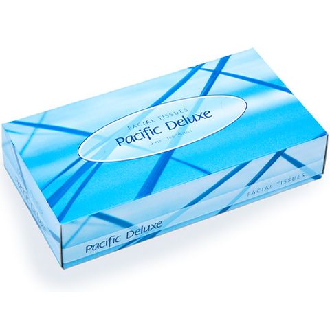 PH Deluxe 2ply Facial Tissues 100's Ctn/48