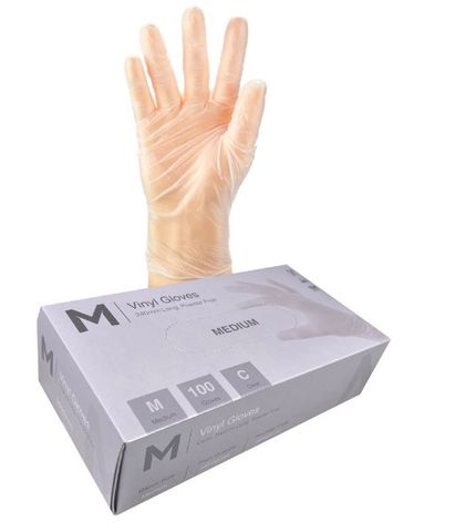 Gloves Vinyl Clear Powder Free Pk/100