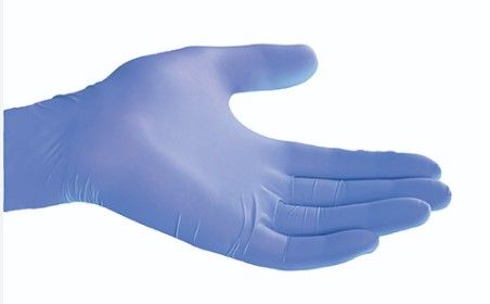 Pomona Glove Biodegradable P/Free Blue