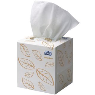 Tork Extra Soft Facial Tissues Ctn/24 (2170301)