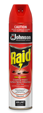 Raid One Shot Crawling Insect Surface Spray 450g
