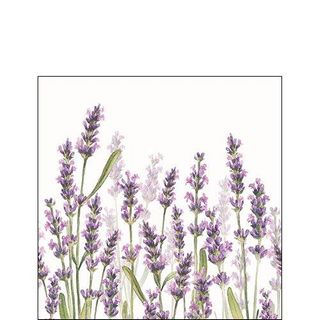 Ambiente - Paper Napkins - Pack of 20 - Cocktail Size - Lavender Shades White