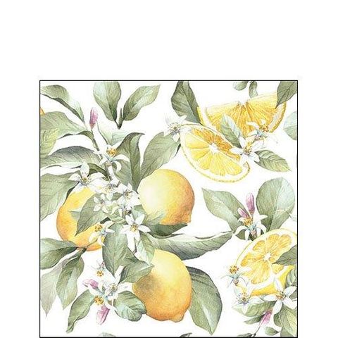 Ambiente - Paper Napkins - Pack of 20 - Cocktail Size - Limoni