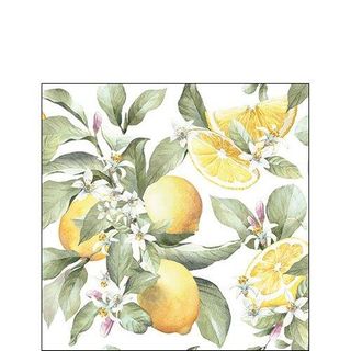 Ambiente - Paper Napkins - Pack of 20 - Cocktail Size - Limoni