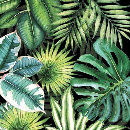 Ambiente - Paper Napkins - Pack of 20 - Luncheon Size - Tropical Leaves Black