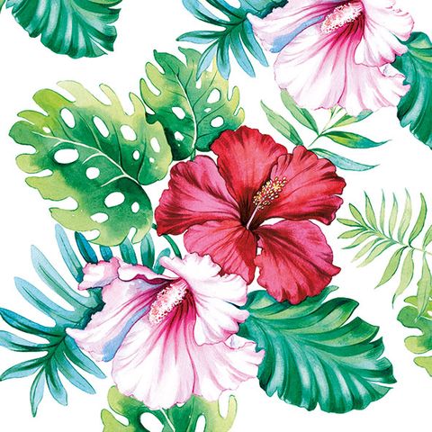 Ambiente - Paper Napkins - Pack of 20 - Luncheon Size - Hibiscus Floral White