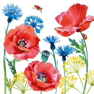 Ambiente - Paper Napkins - Pack of 20 - Luncheon Size - Cornflower and Poppy