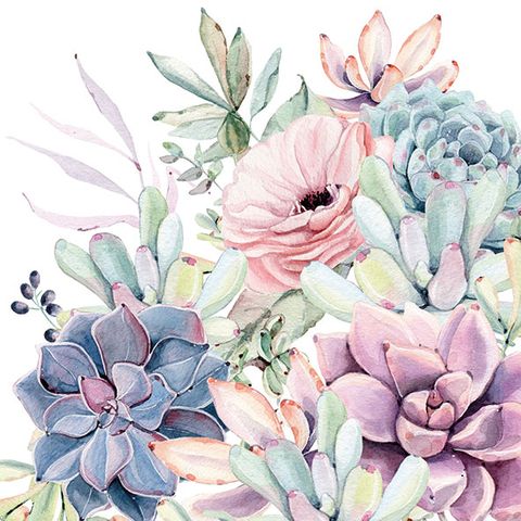 Ambiente - Paper Napkins - Pack of 20 - Luncheon Size - Succulent Love