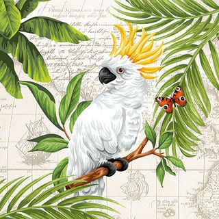 Ambiente - Paper Napkins - Pack of 20 - Luncheon Size - Cockatoo