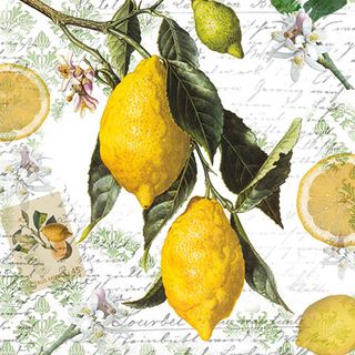 Ambiente - Paper Napkins - Pack of 20 - Luncheon Size - Lemon