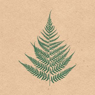 Ambiente - Paper Napkins - Pack of 20 - Luncheon Size - Recycled Fern Leave