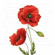 Ambiente - Paper Napkins - Pack of 20 - Luncheon Size - Proud Poppy