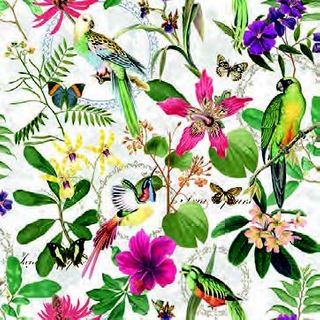 Ambiente - Paper Napkins - Pack of 20 - Luncheon Size - Tropical Jungle