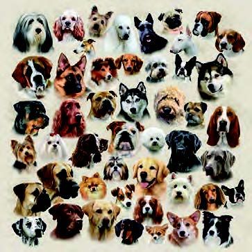 Ambiente - Paper Napkins - Pack of 20 - Luncheon Size - Collection of Dogs