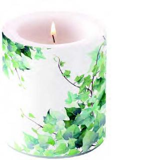 Ambiente Home - Candle - Medium - Hedera White