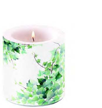 Ambiente Home - Candle - Small - Hedera