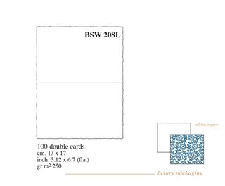 Rossi Medioevalis BSW 208L WHIITE cards Box 100