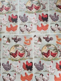 Wrap Rossi 50 x 70cm - Hens