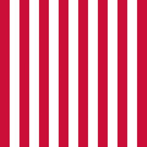 Ambiente - Paper Napkins - Pack of 20 - Luncheon Size - Stripes Red