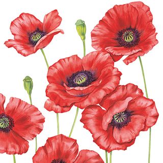 Ambiente - Paper Napkins - Pack of 20 - Luncheon Size - Romantic Poppy