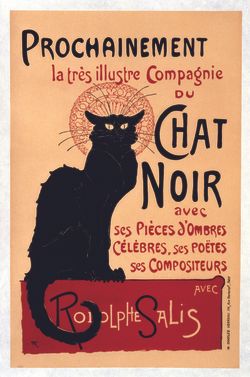 Wrap 50X70cm Chat Noir - Cat