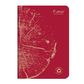 Clairefontaine - Forever 100% Recycled - Stapled Notebook - A5 - Lined - Red