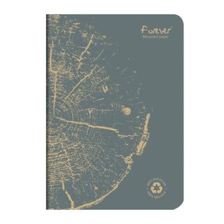 Clairefontaine - Forever 100% Recycled - Stapled Notebook - A5 - Lined - Grey