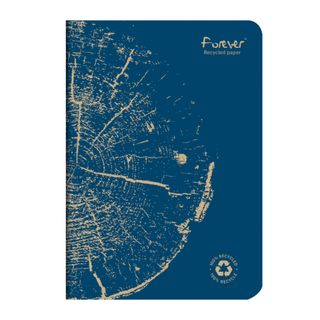 Clairefontaine - Forever 100% Recycled - Stapled Notebook - A5 - Lined - Blue