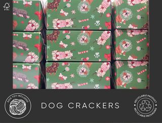 Celebration Crackers - Pet Crackers - 13 Inch - Dog - Retail Display Unit of 24 Pieces