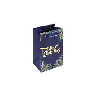 Eurowrap - Merry Christmas Folliage - Small Gift Bag