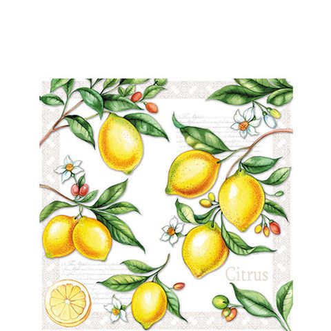 Ambiente - Paper Napkins - Pack of 20 - Cocktail Size - Citrus